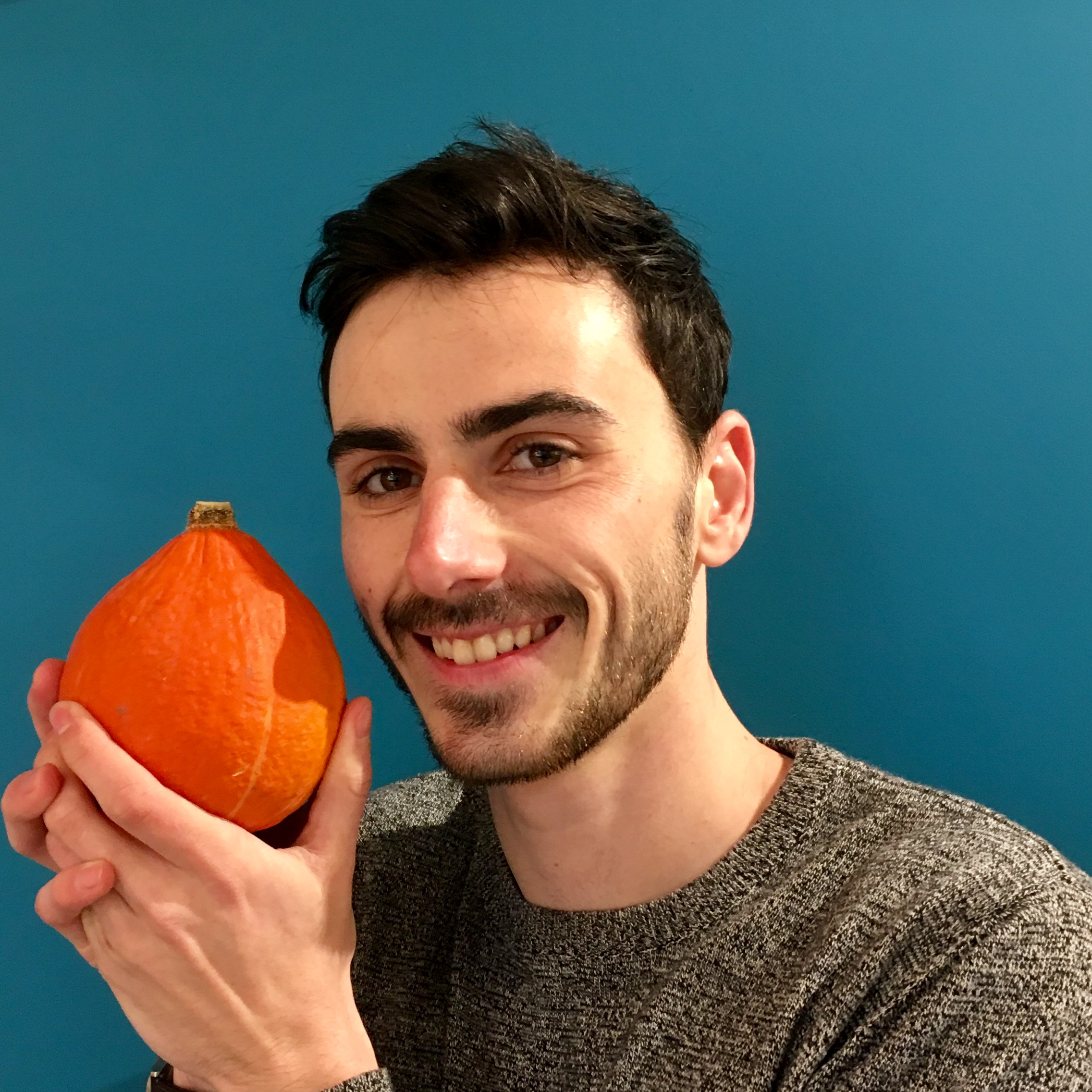 Responsable des paniers de fruits et légumes et du web